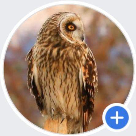 Sky Valley Photography